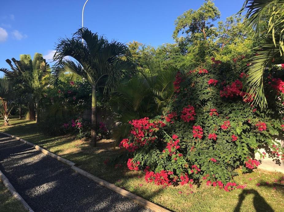 Villa La Belle Creole 4 étoiles Saint-Francois  Extérieur photo